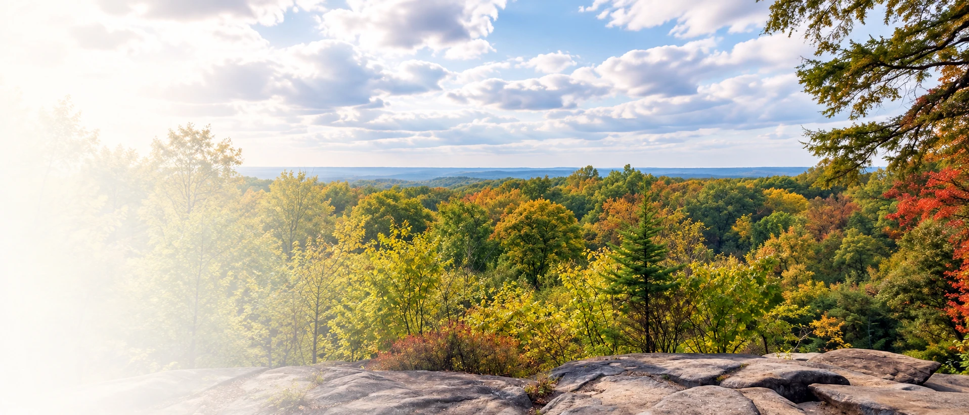 Scenic wooded overlook in Brecksville, Ohio