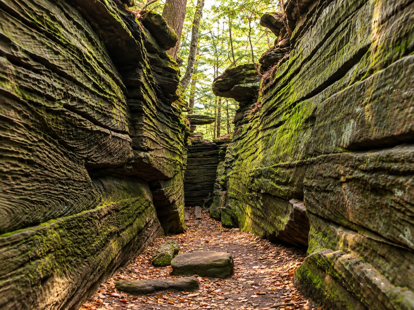 Rock gorge and wooded landscape in Brecksville Reservation